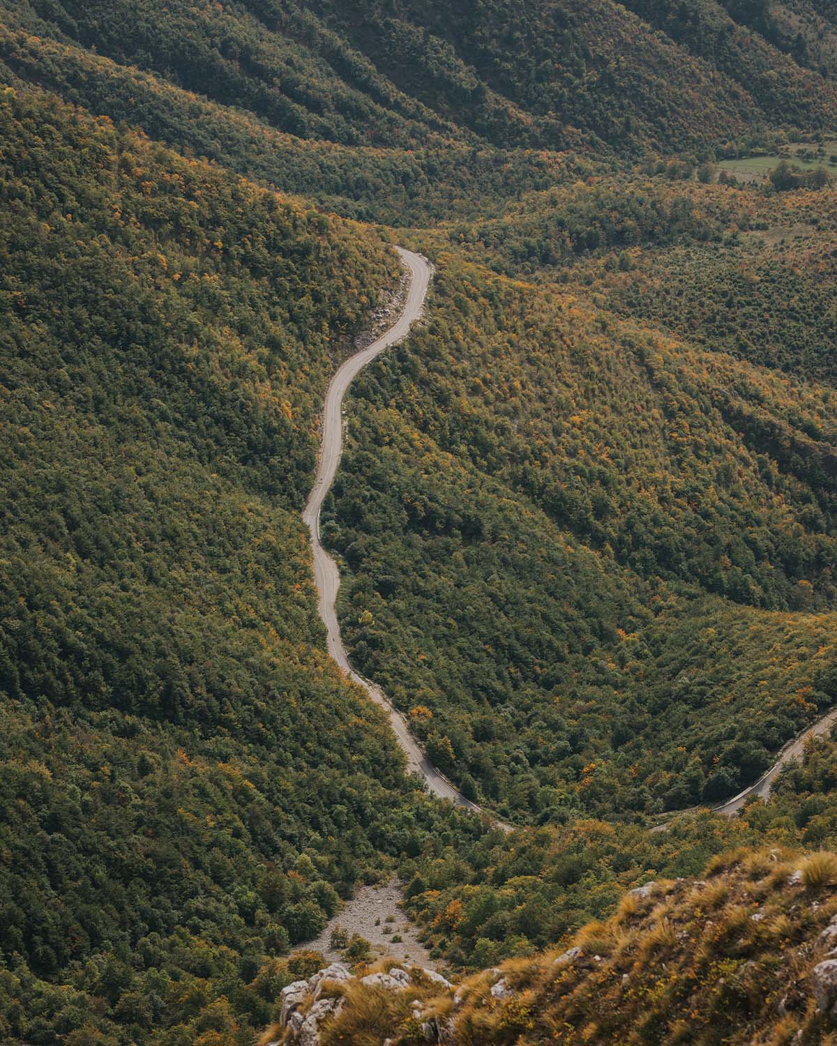Territorio, paesaggio e sviluppo locale